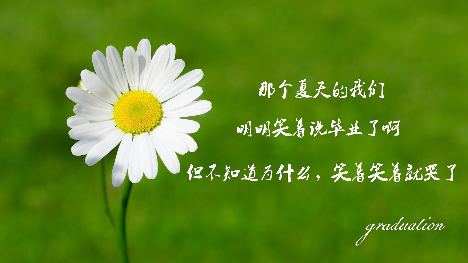 爱游戏娱乐-横滨水手球员伤病情况更新，横滨水手主力有哪些球员