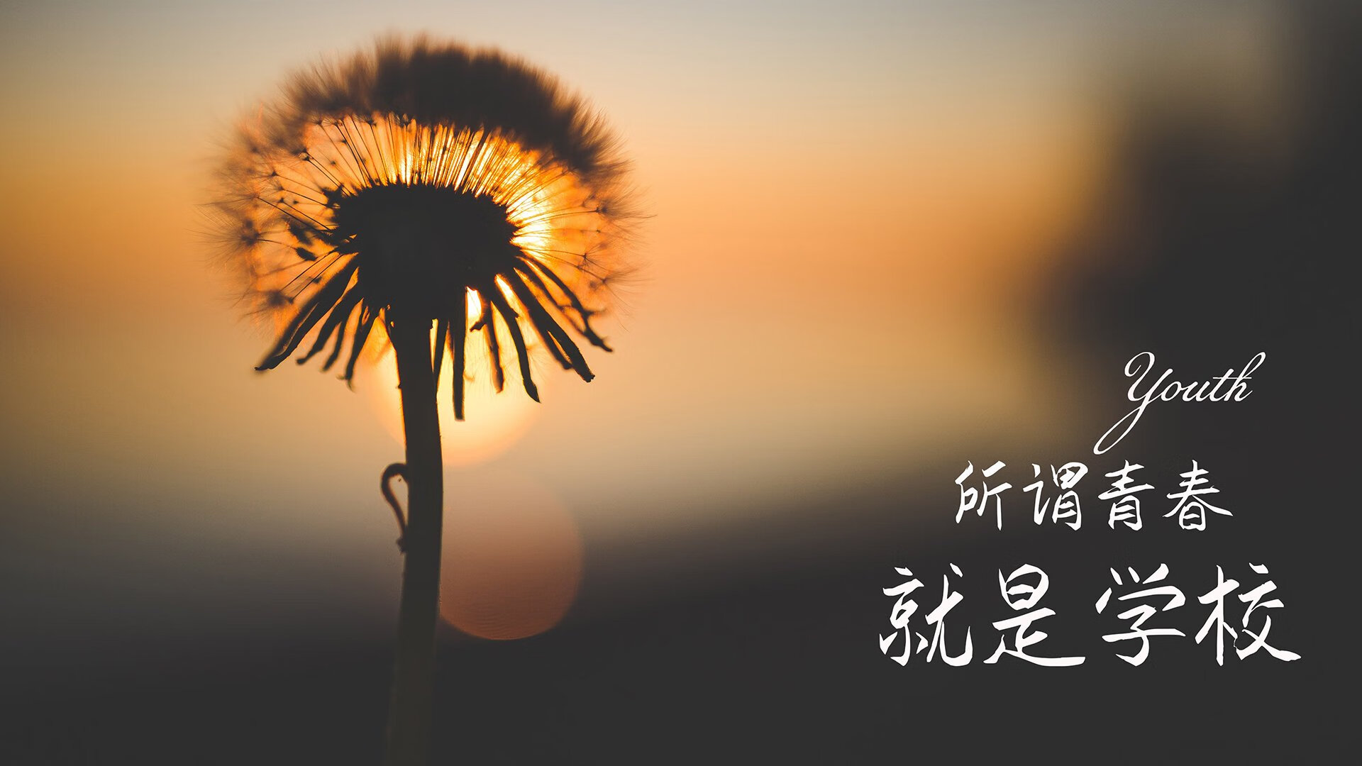 西汉姆联连续不胜，保级之路愈加坎坷，西汉姆联集锦