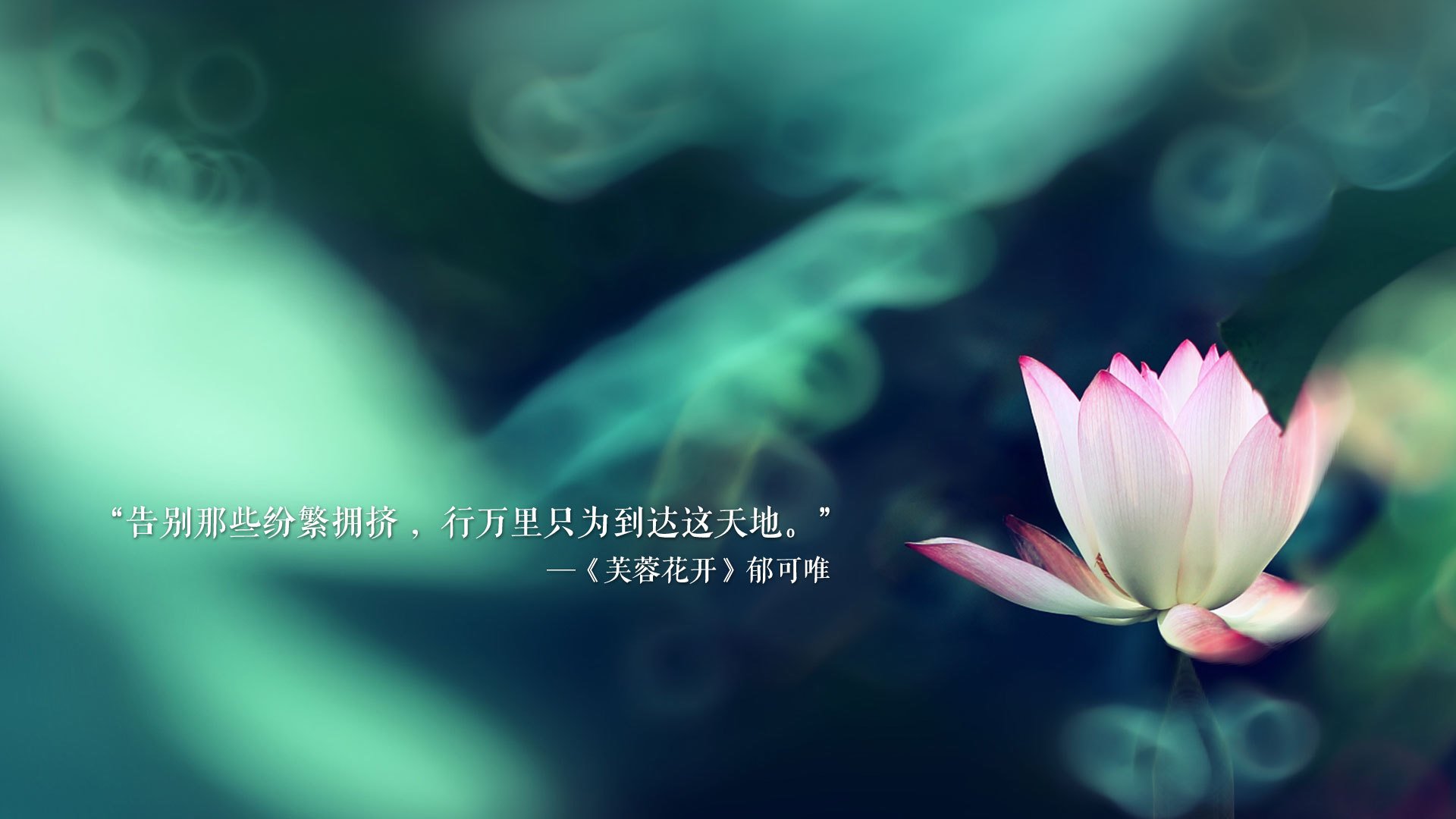 队伍们如何通过团结合作在足球比赛中获胜？，团队配合足球