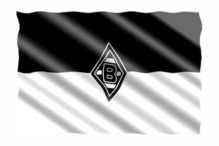 爱游戏在线登录入口-德甲俱乐部足球与社会公益结合的品牌创新，德甲合作伙伴