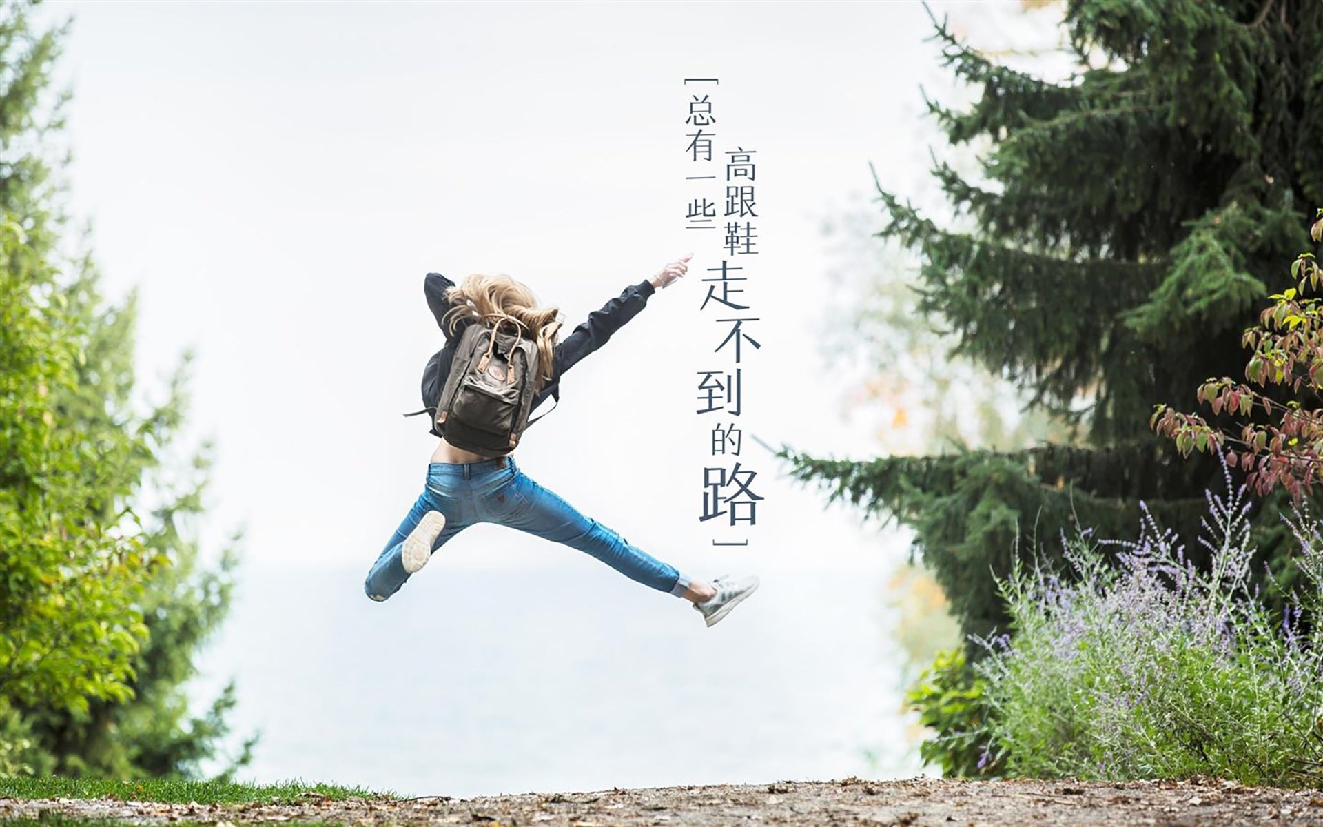 尼斯快速切换成功压制对手反击，尼斯在哪