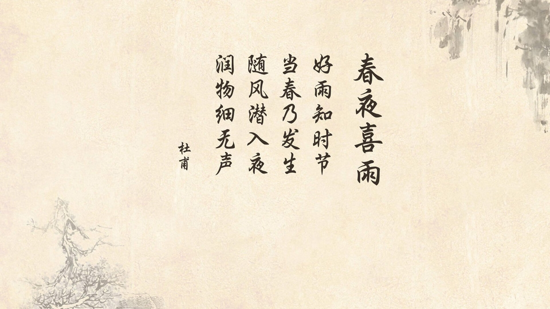 教练团队幕后功臣受赞誉，教练组成员
