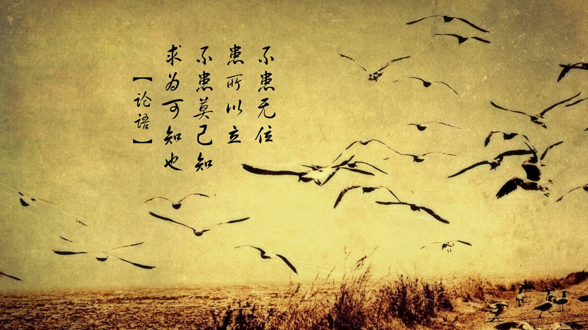 新兴乒乓球技术引发全球选手关注，乒乓球新玩法图片
