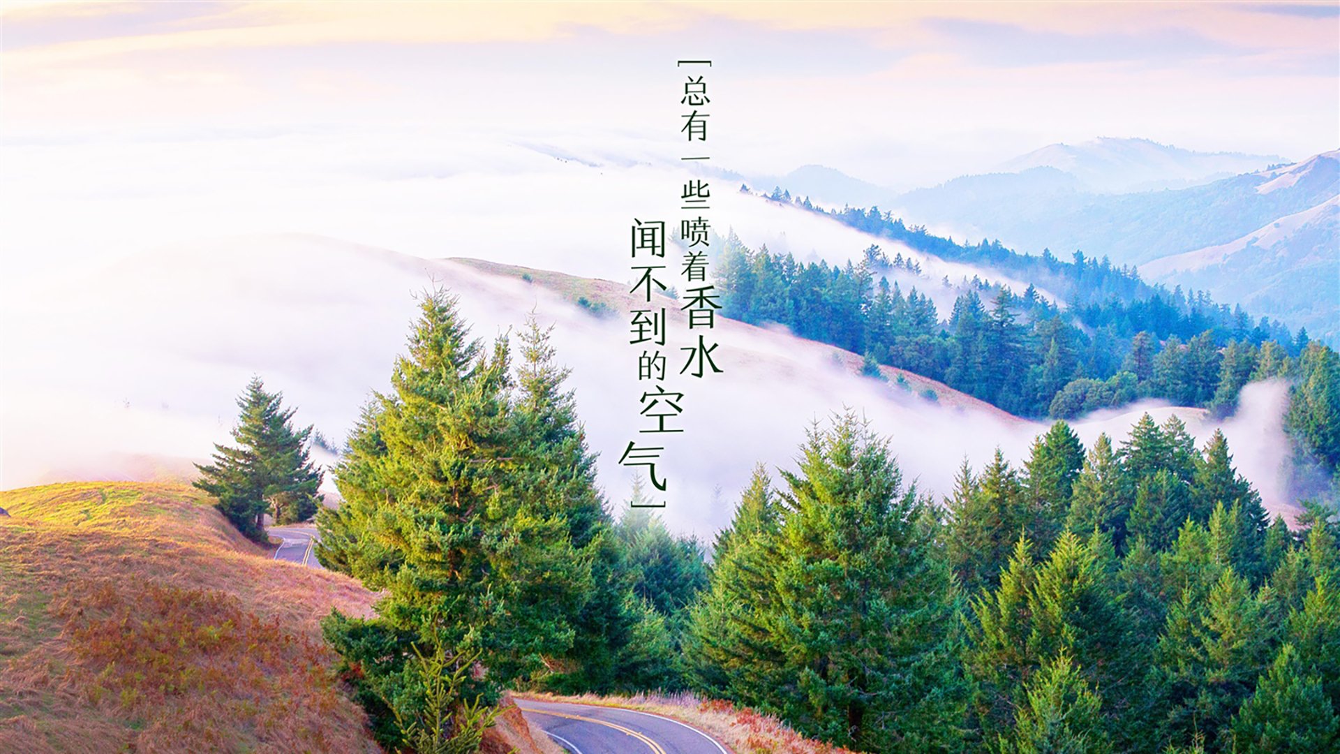混合泳接力吉尔吉斯斯坦团队协作显著，吉尔吉斯斯坦游泳运动员