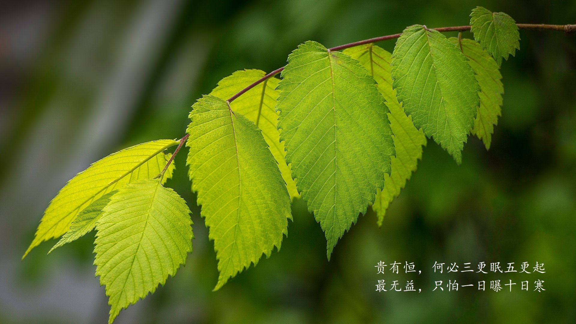 青少年足球选拔赛成为明星苗子孵化的重要平台，2021青少年足球